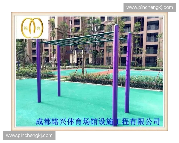 精选高品质体育用品打造专业训练与全民健身新体验指南推荐方案